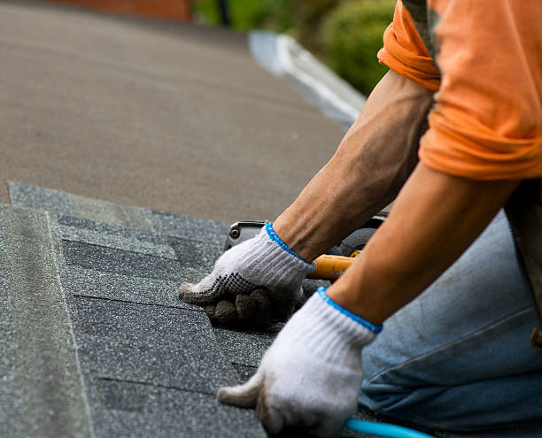 Best Residential Roofing Contractor  in Columbus, MS
